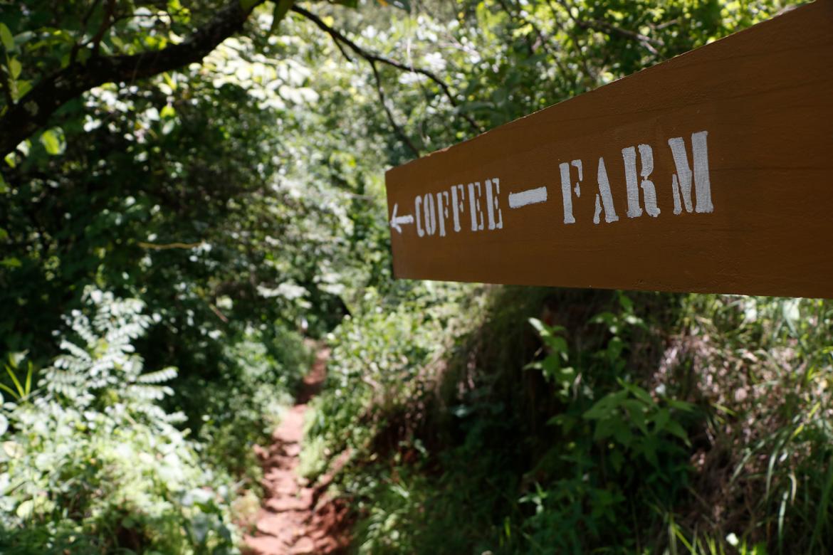 songwa estates coffee farm sign